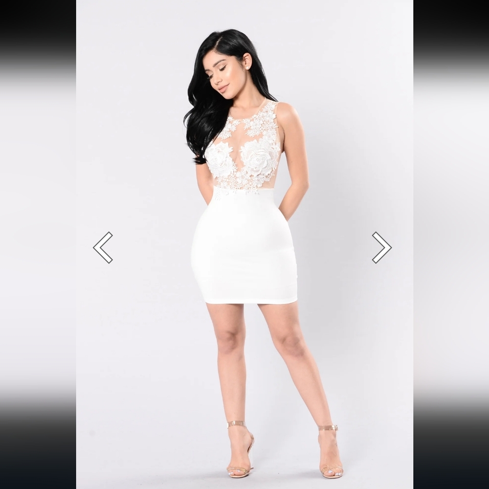 Sheer Lace Body on Dress